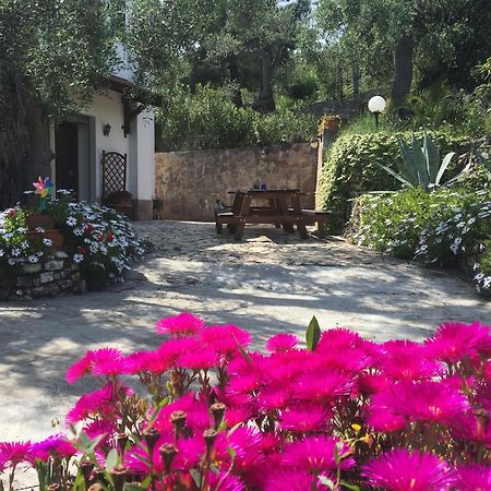 Azienda Agricola B&B Macchiaria Vieste Exteriör bild