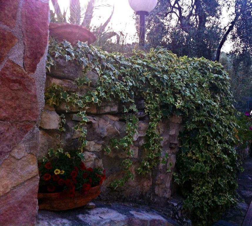 Azienda Agricola B&B Macchiaria Vieste Exteriör bild