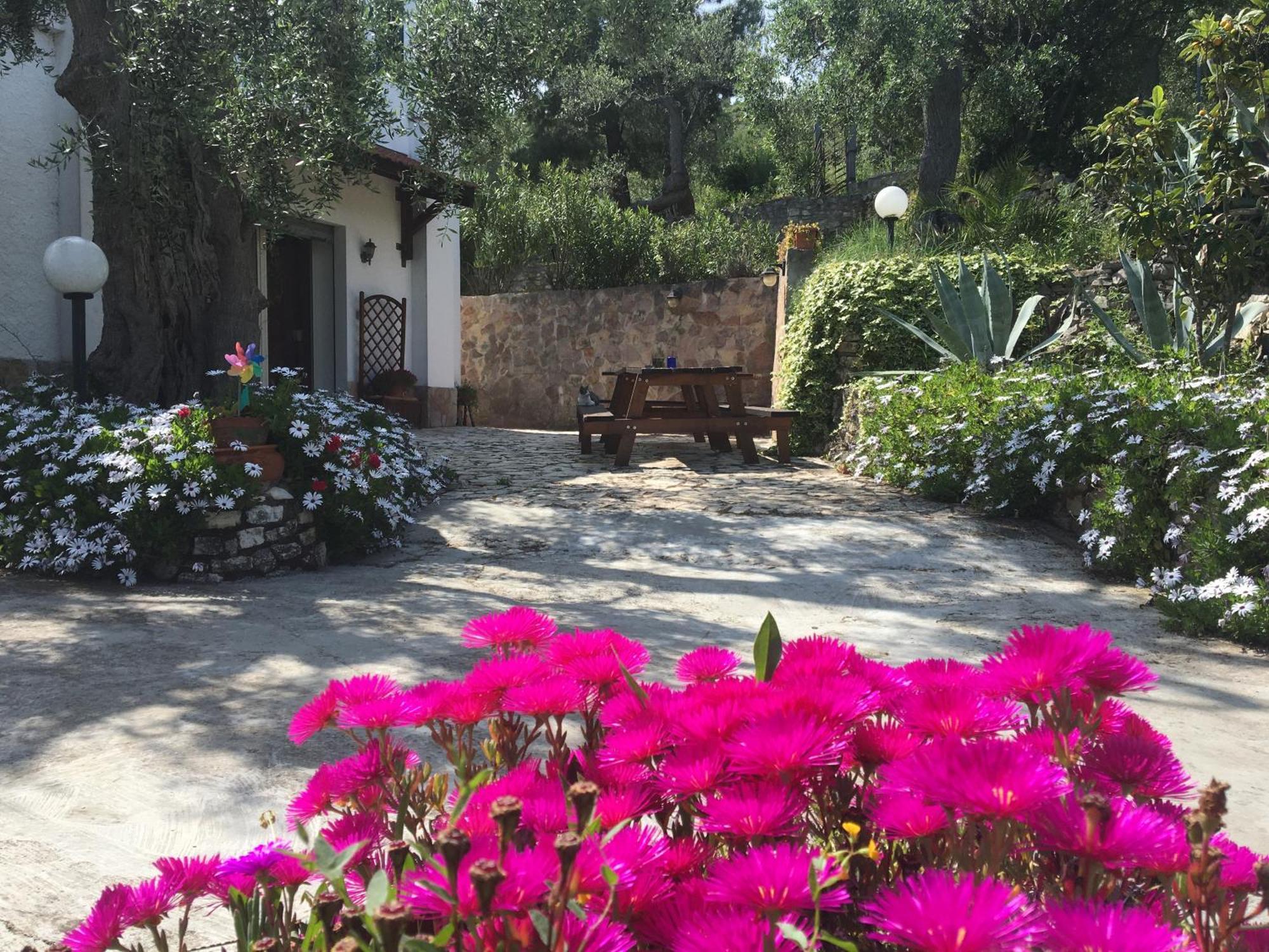 Azienda Agricola B&B Macchiaria Vieste Exteriör bild