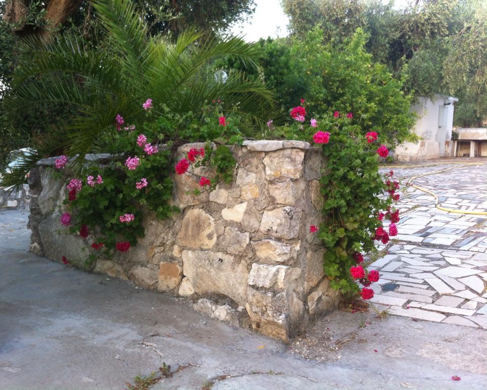 Azienda Agricola B&B Macchiaria Vieste Exteriör bild