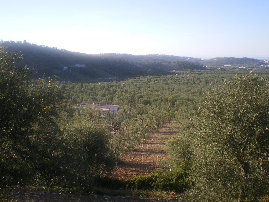 Azienda Agricola B&B Macchiaria Vieste Exteriör bild