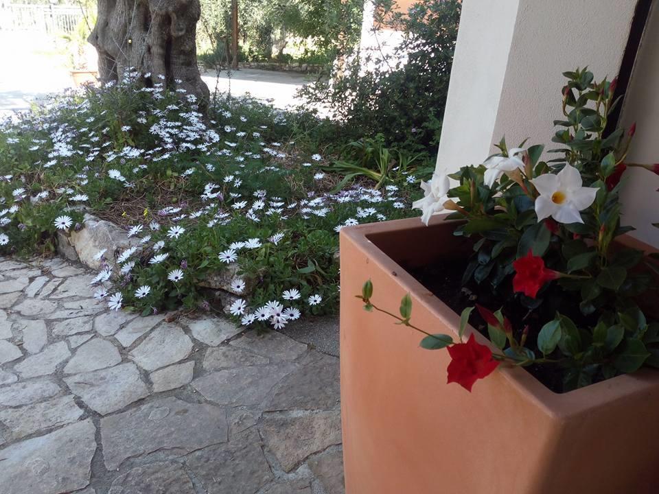 Azienda Agricola B&B Macchiaria Vieste Exteriör bild